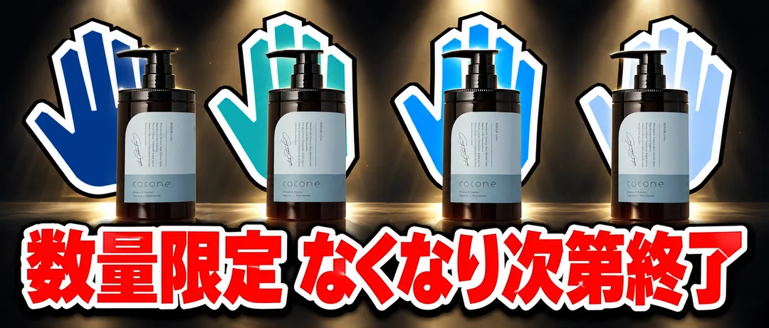 数量限定 なくなり次第終了